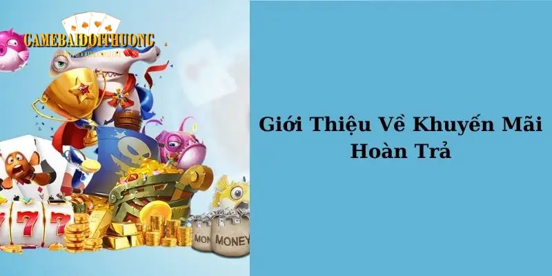 Khuyến mãi Mibet hoàn trả